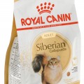 Royal Canin Siberian