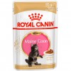 Royal Canin Kitten MAINE COON