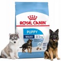 Royal Canin MAXI PUPPY