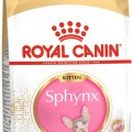 Royal Canin kitten Sphynx