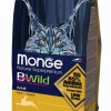 Monge BWild Cat с анчоусами