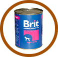 «Brit»