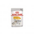 Royal Canin COAT CARE