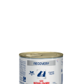 Royal Canin RECOVERY canin/feline