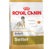Royal Canin Setter Adult