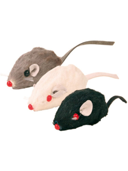 Лёгкие игрушки для кошки Лёгкие игрушки для кошки