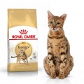 Royal Canin BENGAL